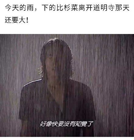 雨下好大|雨下的好大全部小说作品, 雨下的好大最新好看的小说作品